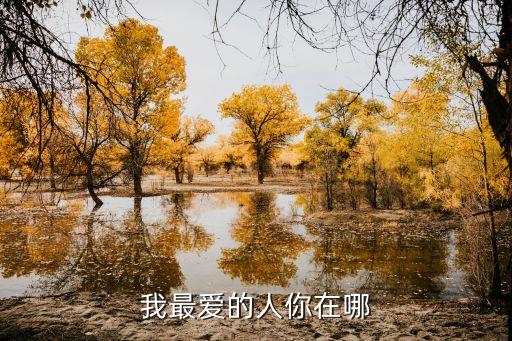 我最爱的人你在哪