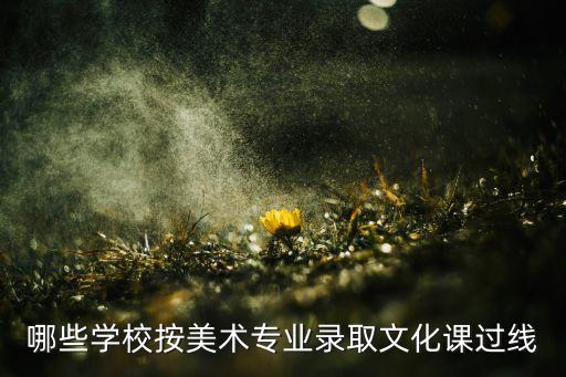 哪些学校按美术专业录取文化课过线