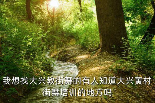 我想找大兴教街舞的有人知道大兴黄村街舞培训的地方吗