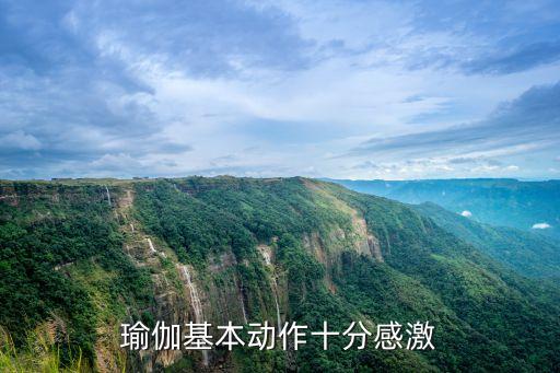 瑜伽的基本动作图片 初学者，瑜伽基本动作十分感激