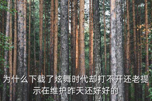 为什么下载了炫舞时代却打不开还老提示在维护昨天还好好的