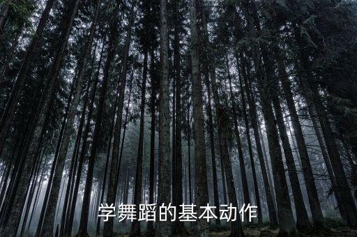 儿童基础舞蹈动作刚入门教学，学舞蹈的基本动作