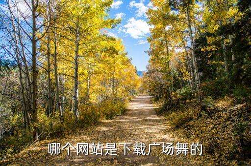 哪个网站是下载广场舞的