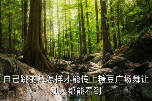 糖豆广场舞怎么上传，我想把糖豆广场舞从手机上发到ipa上要怎么发