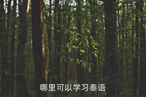 哪里可以学习泰语