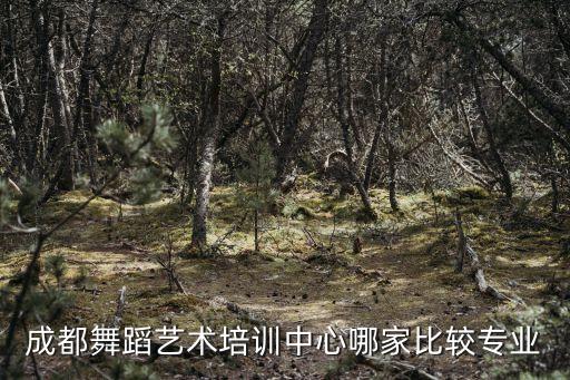 成都舞蹈艺术培训中心哪家比较专业