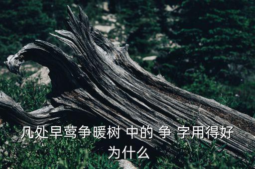 几处早莺争暖树 中的 争 字用得好 为什么