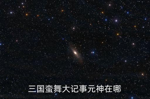 三国蛮舞大记事元神在哪