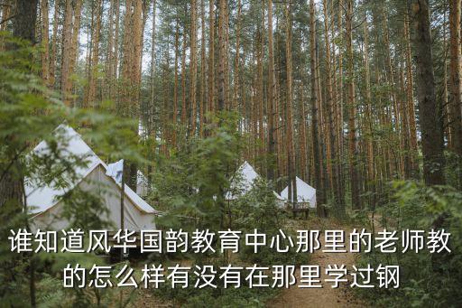 谁知道风华国韵教育中心那里的老师教的怎么样有没有在那里学过钢