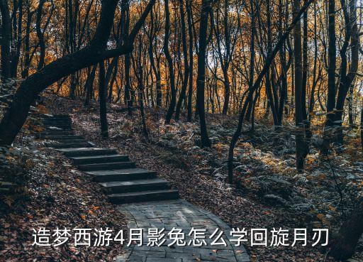 造梦西游4月影兔怎么学回旋月刃
