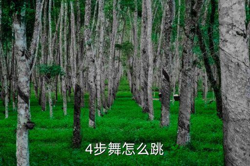 4步舞怎么跳