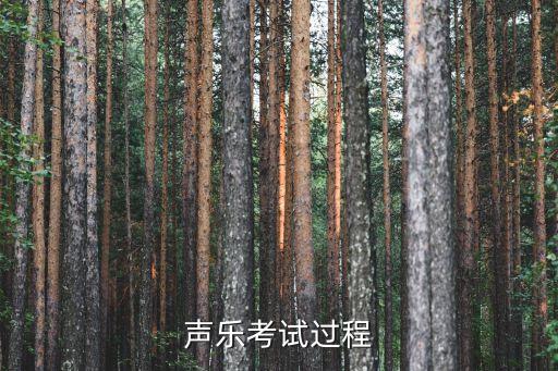 声乐考试过程