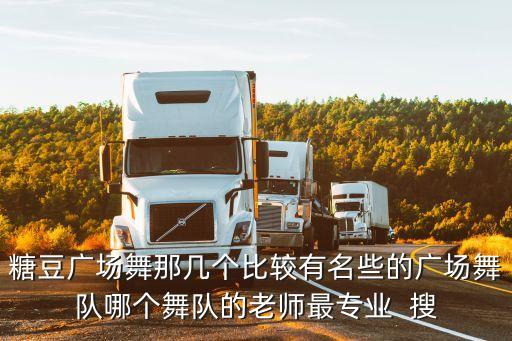 糖豆广场舞那几个比较有名些的广场舞队哪个舞队的老师最专业  搜