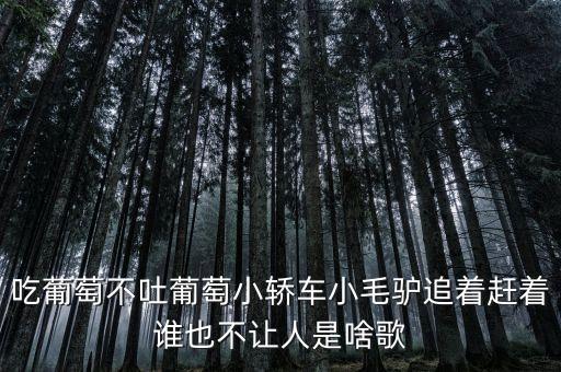 吃葡萄不吐葡萄小轿车小毛驴追着赶着谁也不让人是啥歌