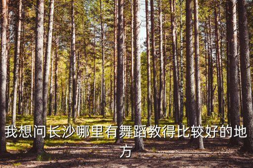 我想问长沙哪里有舞蹈教得比较好的地方