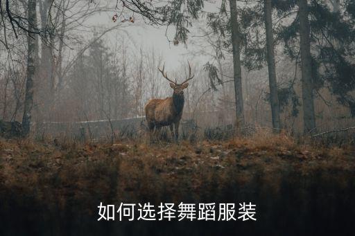 碟儿舞选什么样舞服，请问鬼步舞一般选哪种服饰