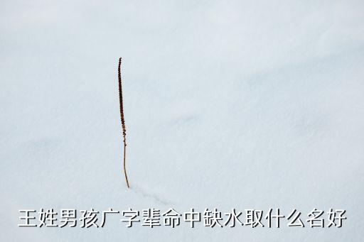 王姓男孩广字辈命中缺水取什么名好