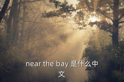 near the bay 是什么中文
