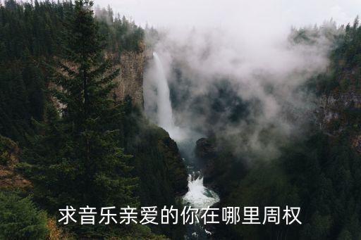 i歌曲亲爱的你在哪里，亲爱的你在哪里原唱是谁
