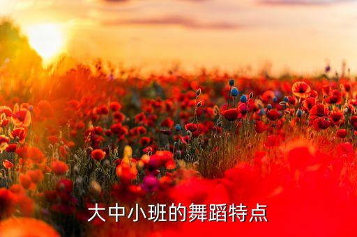 大中小班的舞蹈特点