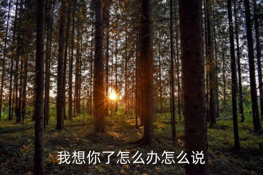 我想你了怎么办怎么说