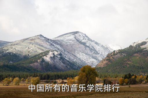 中国舞蹈学院排名，全国知名技术类院校有哪些
