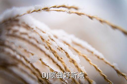 免费dj舞曲大全100首，DJ劲爆歌曲