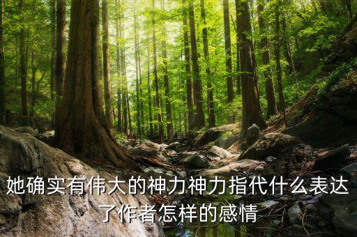 她确实有伟大的神力神力指代什么表达了作者怎样的感情