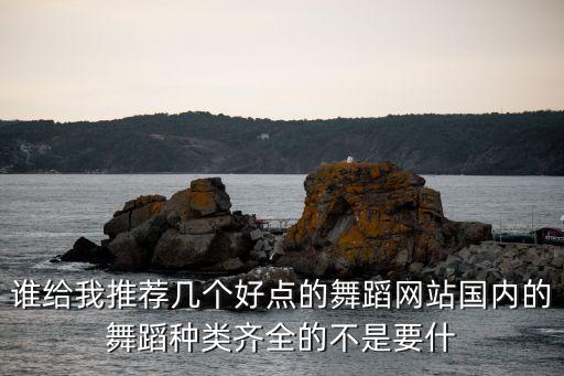 什么广场舞网站比较好，哪个网址又广场舞下载