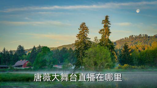 唐薇大舞台直播在哪里