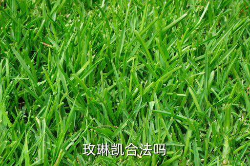 玫琳凯合法吗