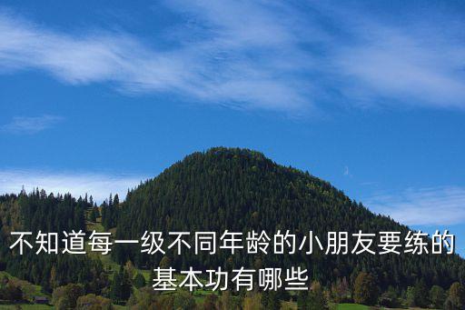 不知道每一级不同年龄的小朋友要练的基本功有哪些