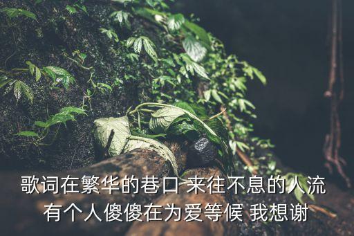歌词在繁华的巷口 来往不息的人流 有个人傻傻在为爱等候 我想谢