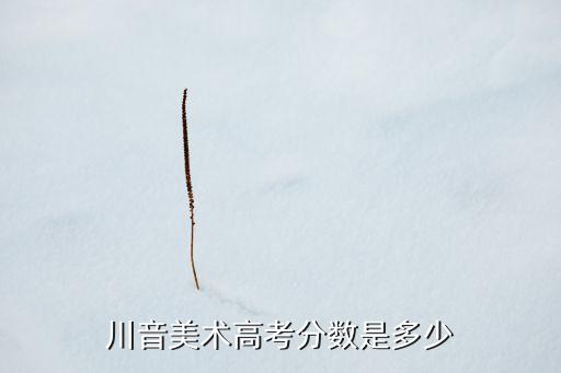 川音艺考录取分数线，请问四川音乐学院的录取分数是多少分