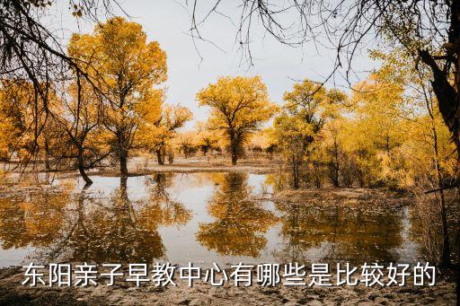 东阳幼小衔接培训机构有哪些，孩子幼升小想报个培训机构请问下大家教育培训机构...