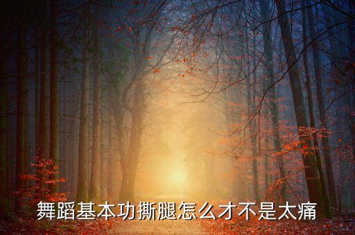 舞蹈魔鬼训练撕腿，怎么进行撕腿训练