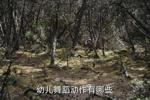 小朋友怎么跳芭蕾，幼儿舞蹈动作有哪些