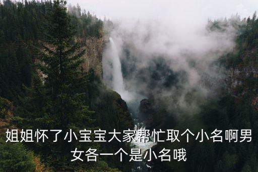 雯什么花，姐姐怀了小宝宝大家帮忙取个小名啊男女各一个是小名哦