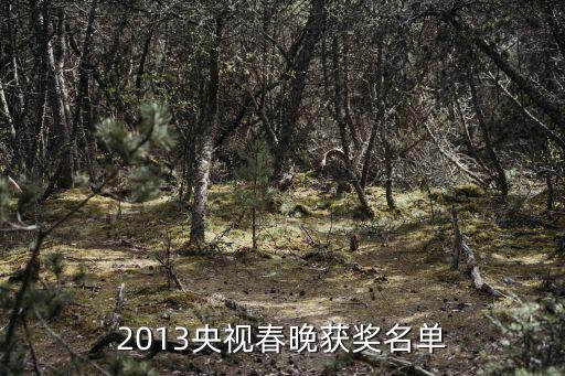 2013央视春晚获奖名单