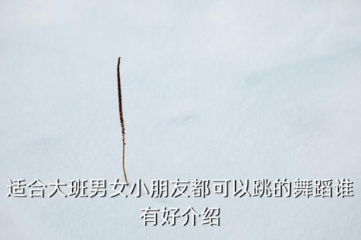 适合大班男女小朋友都可以跳的舞蹈谁有好介绍