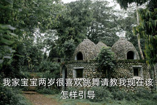 我家宝宝两岁很喜欢跳舞请教我现在该怎样引导