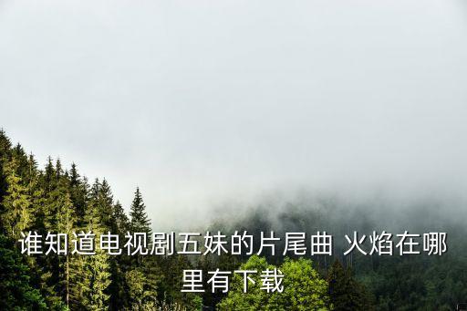 谁知道电视剧五妹的片尾曲 火焰在哪里有下载