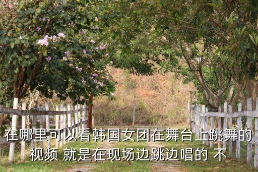 在哪里可以看韩国女团在舞台上跳舞的视频 就是在现场边跳边唱的 不