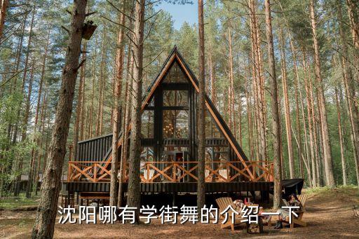 沈阳哪里有学街舞的，沈阳哪有学街舞的介绍一下