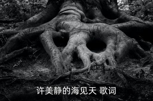 许美静的海见天 歌词
