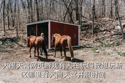 大闹天宫网页游戏有人在玩吗我想玩新区哪里有大闹天宫开服时间