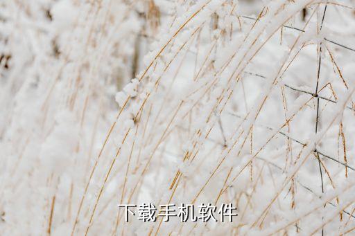 下载手机软件