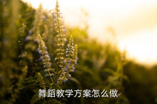 舞蹈教学方案怎么做