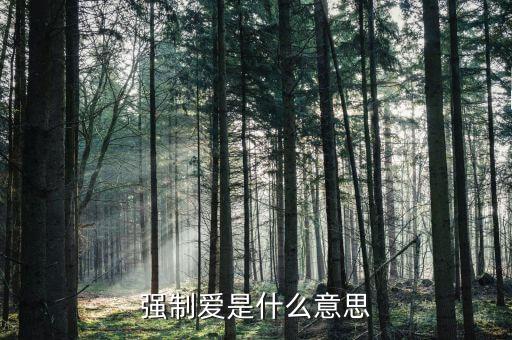 强制爱是什么意思