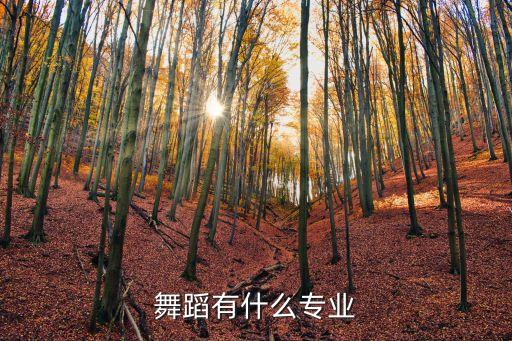 舞蹈有什么专业